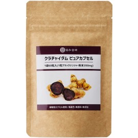 協和食研 クラチャイダム ピュアカプセル 60粒入 1粒ブラックジンジャー粉末350mg