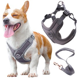 Wocharm Dogs Breathable Harness with Leash Adjustable Outdoor Walking Pet Puppy Vest （XS,Grey）