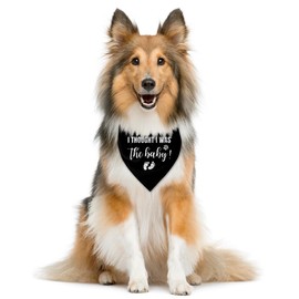 I Thought I was The Baby Dog Bandana, Dog Bandana, Dog Scarf Accessories, Dog Triangle Scarf, Dog Bandana for Small Medium Dog, Pregnancy Announcement Dog Bandana, Dog Bandana Pet Scarf (M)