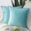 MADIZZ Set of 2 Super Soft Velvet Decorative Throw Pillow