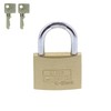 Burg Wächter 222 45 Padlock 45 mm C-Line
