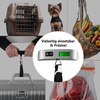 IMEX Digital Luggage Scale with LCD Display 50kg Capacity Silver