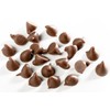 Barry Callebaut Van Leer Milk Chocolate Chips Size 1M by