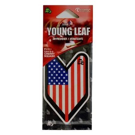 Treefrog Hanging Air Freshener Soshinoya American Flag Badge Single Pack - Cherry Squash
