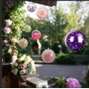 BetterJonny 20pcs Ornaments Balls 10cm Hollow Fillable Ball Ornaments Clear