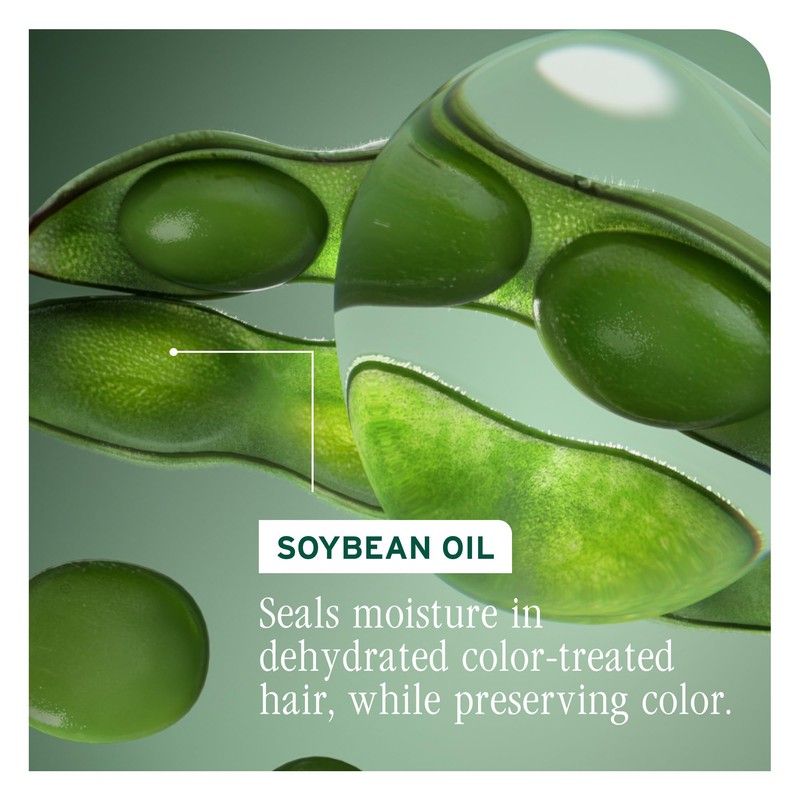 Biolage Color Last Conditioner | Color Safe Conditioner | Helps