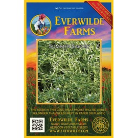 Everwilde Farms - 2000 Summer Savory Herb Seeds - Gold Vault Jumbo Seed Packet