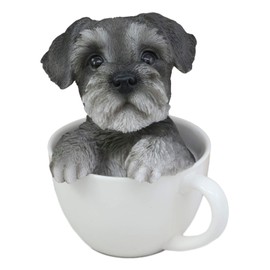 Ebros Realistic Grey Adorable Schnauzer Dog in Teacup Statue 5.75" Tall Pet Pal Dog Breed Collectible Resin Decor Figurine with Glass Eyes of Pedigree Dogs Pets Buddies Animal Collectibles and Gifts