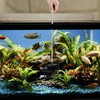 Mogoko 3.0 Inch Fine Mesh Telescopic Aquarium Fish Net with