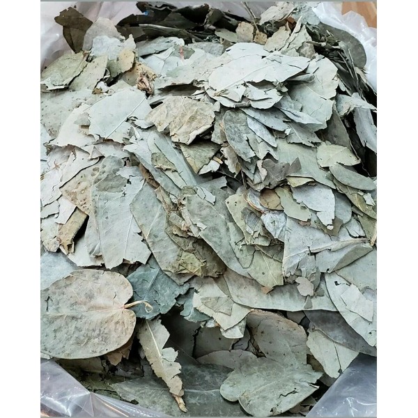 EUCALIPTO LEAVES 50 GR BRONQUIOS TOS ASMA/EUCALYPTUS BRONCHITIS,PNEUMONIA,ASTHMA