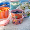 Koziol Bowl with Lid Nora Box 250 ml Blooms Sweet