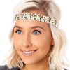 Hipsy Adjustable & No Slip Fashion Headbands for Women Strawberry