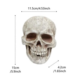 Resin Skull Wall Decor, Realistic Human Skull Wall Hanging Ornament, Gothic Halloween Decorations for Home Indoor Outdoor, Horror Haunted House Party Garden Tree Yard Wall Art, Spooky Resin Sculpture