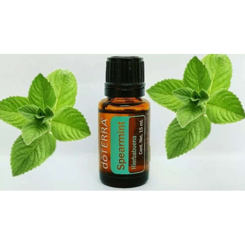 Doterra Aceite Esencial De Hierbabuena Doterra 15 Ml