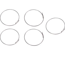 Fulcrum RF1134867 Pawl Spring Set for Freehub Bodies