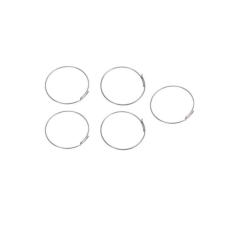 Fulcrum RF1134867 Pawl Spring Set for Freehub Bodies