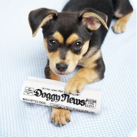 GabeFish 2 PCS Squeaky Newspaper Toys for Dogs, Funny dog Chew Toys, Interactive Toy for Small Dogs, Puppy Chew Toys for Teething