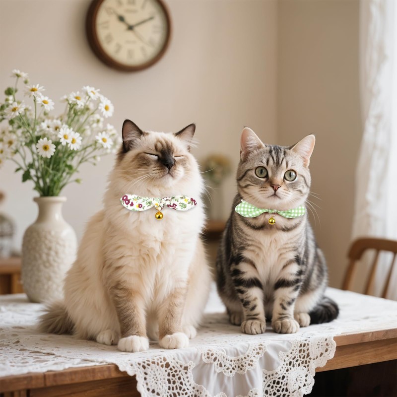 Tucnoeu Pack of 2 Cat Collars with Removable Bow, Adjustable