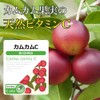 【リプサ公式】 カムカムC 約3か月分 C-161 ビタミンC サプリメント