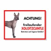 Xoloitzcuintle Freilauf Dog Sign Saying Door Sign Dog Sign Warning
