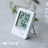 Ohm Electric HB-T03-W 07-4173 OHM Thermometer, Hygrometer, Thermometer, Hygrometer, Indoor,