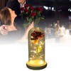 Rose in Glass Dome Lucky Beautiful Symbolism Romantic Enchanted Rose