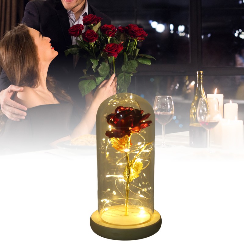 Rose in Glass Dome Lucky Beautiful Symbolism Romantic Enchanted Rose