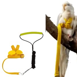Pet Parrot Bird Harness Leash Adjustable Bird Flying Harness Traction Rope with Cute Wing for Parrots Pigeons Budgerigar Lovebird Cockatiel Mynah Outdoor Training Toy (M, Yellow)