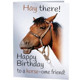 Joke Funny Horse Riding Racing Birthday Card for Friend