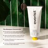 Everist Everist The Shampoo Concentrate, All Hair Types, Plant-based, Clean