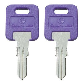 1 Pair (2 Keys) Global Link Precut Keys G301 - G391 Select Your Key Number (G375)
