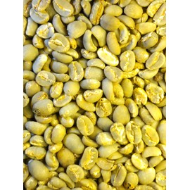 Sumatra Gayo Mandiri Coffee Beans - Organic Green/Raw, 1 lb