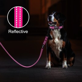 azuza Reflective Padded Dog Leash and Collar Set, Durable Extra Safe and Comfy for Medium and Large Dogs