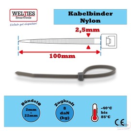 Cable Ties Silver Pack of 100 100 x 2.5 Nylon 6.6 UV-Resistant Non-Resealable Permanent Closing WeltiesSmartTools