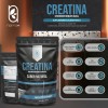 Creatina Monohidratada 100% Pura Sin Sabor 500 G I 100
