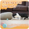 Tomedeks 2 Pezzi Giochi Interattivi per Gatti, Pallina Gatto Automatica,