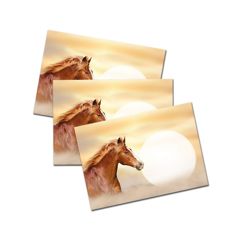 JuNa-Experten A5 Letter Paper Set with Envelopes Children Horse for