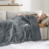 Bedsure Heated Blanket Electric Throw - Thick Striped Flannel, Fast