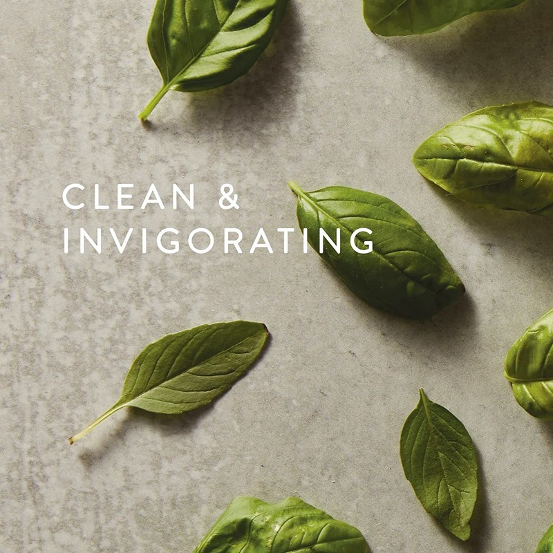 Thymes Moisturizing Hand Lotion for Dry Skin - Moisturizer for