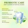 MSDRWIKEY SP-6 Toothpaste | Advanced Oral Care with Probiotics |