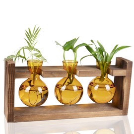 Kingbuy Glass Plant Terrarium Propagation Station - 3 Bulb Colored Vases with Retro Wood Stand Indoor Garden Planter - Wall Mounted & Desktop Decor for Home Kitchen Wedding, Plant Lover Gift, Amber