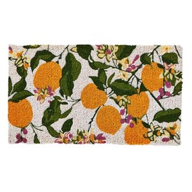 tag 1'6" x 2'6" Lemoncello Coir Mat Rectangle Indoor and Outdoor Coir Door Welcome Mat 18"x30" Yellow Multi