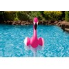Poolmaster 81432 Floating Swimming Pool Backyard Décor, Pink Flamingo