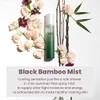 Haruharu WONDER Black Bamboo Mist - Hydrating and Firming skin