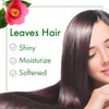 Oshima Tsubaki Camellia Hair Care Oil, 60ml