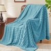 BEDELITE Fluffy Fleece Throw Blanket - Light Blue Sofa Throw