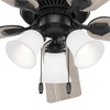 Hunter Fan Company 51737 Swanson Ceiling Fan, Matte Black