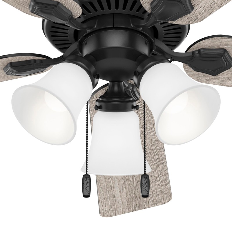 Hunter Fan Company 51737 Swanson Ceiling Fan, Matte Black