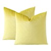 JOTOM Set of 2 Velvet Soft Solid Cushion Covers 45x45