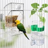 Hamiledyi No Mess Bird Feeders Water Dispenser Set Automatic Parakeet